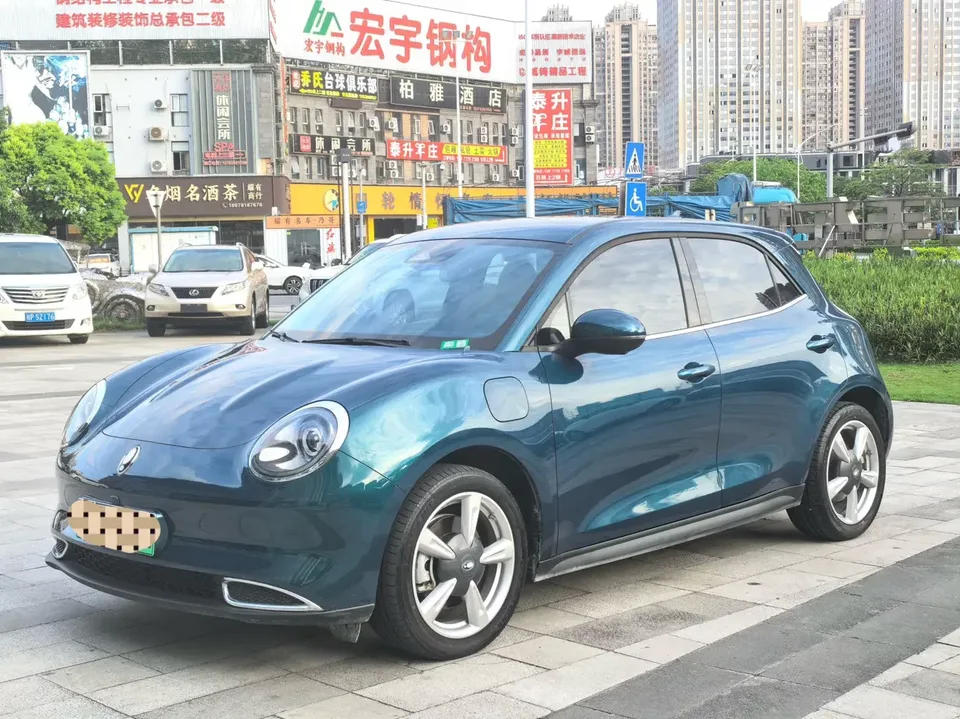 ORA Euler good cat Euler good cat 2023 401km standard endurance luxury lithium iron phosphate 2023 — photo 1, buy with delivery to Moscow