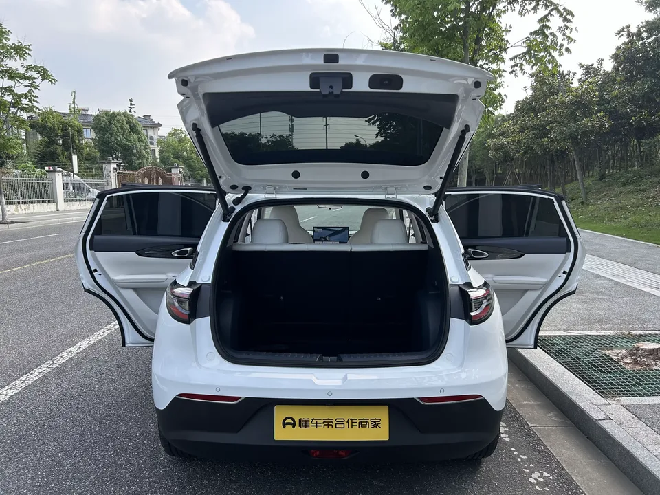 Geely Star Wish Star Wish 2025 310km Dream Edition 2025 — thumbnail 3