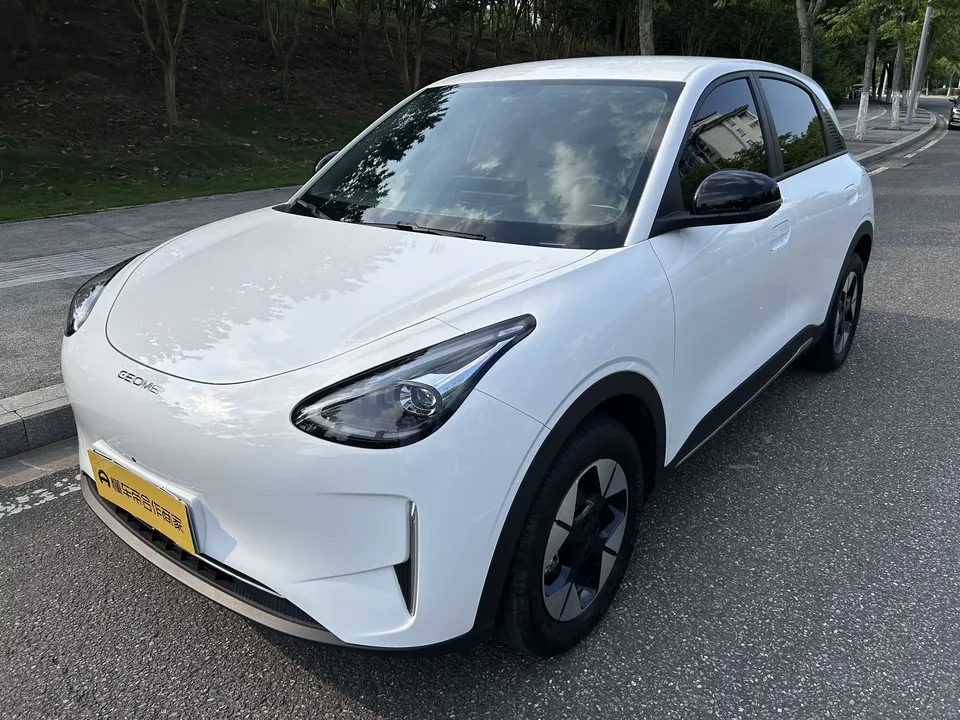 Geely Star Wish Star Wish 2025 310km Dream Edition 2025 — photo 1, buy with delivery to Moscow
