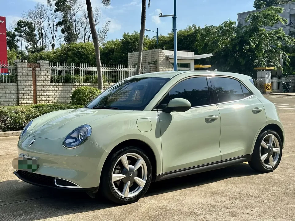 ORA Euler good cat Euler good cat 2023 401km standard endurance luxury lithium iron phosphate 2023 — photo 1, buy with delivery to Moscow
