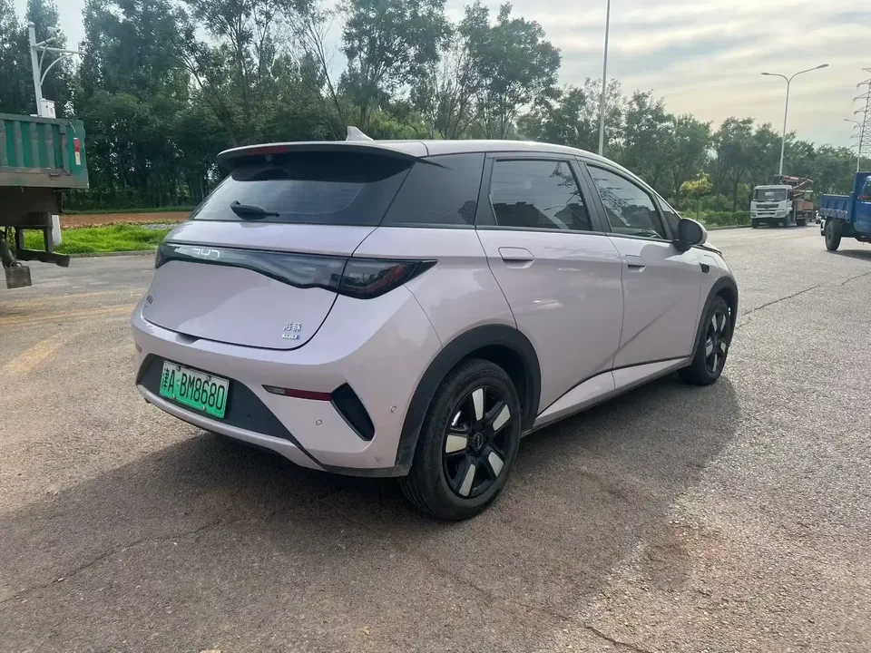 BYD Dolphin dolphin 2025 Smart Driving Edition 410KM Fashion Edition 2025 — миниатюра 2