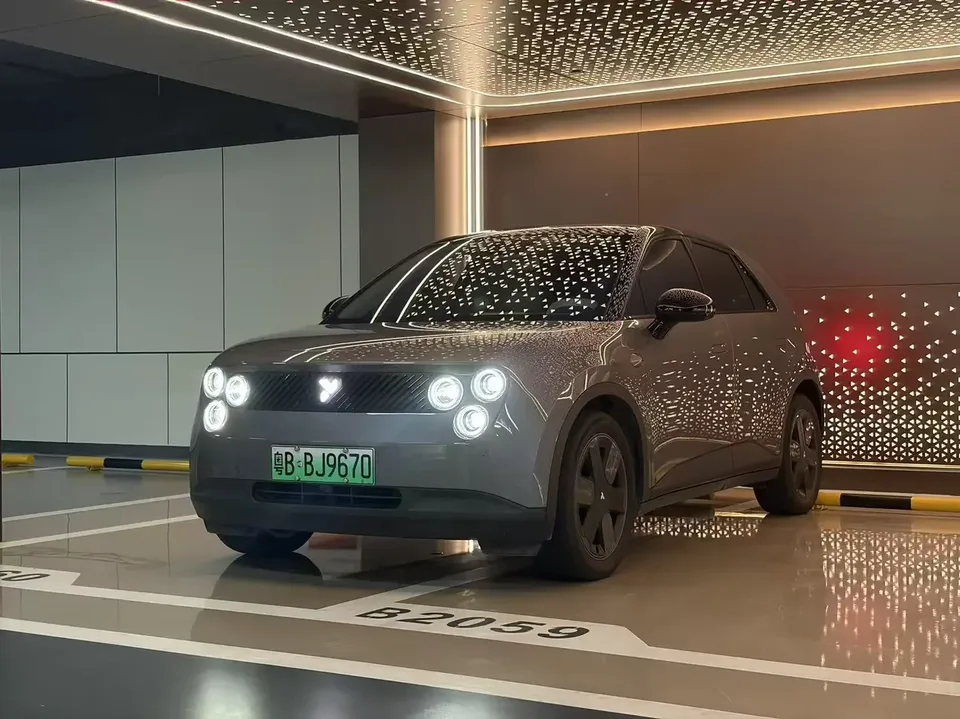 Firefly firefly firefly 2025 Luminous version 2025 — фото 1, купить с доставкой в Москву