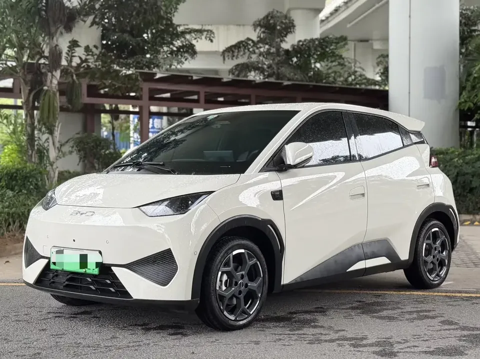 BYD Seagull seagull 2025 Smart Driving Edition 305KM Free Edition 2025 — photo 1, buy with delivery to Moscow