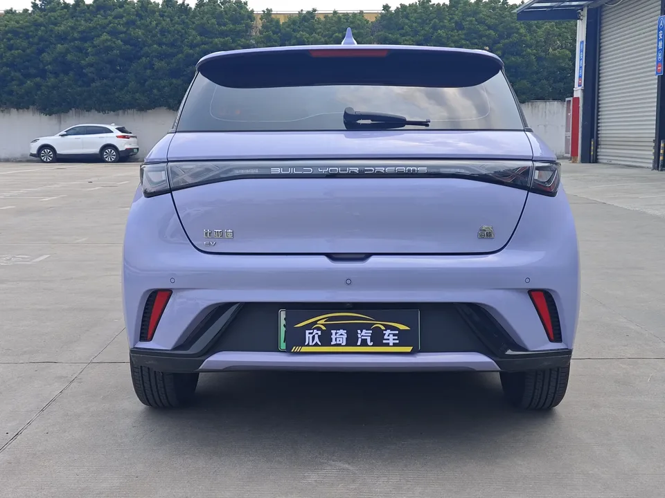 BYD Dolphin dolphin 2023 Free version 2023 — thumbnail 2