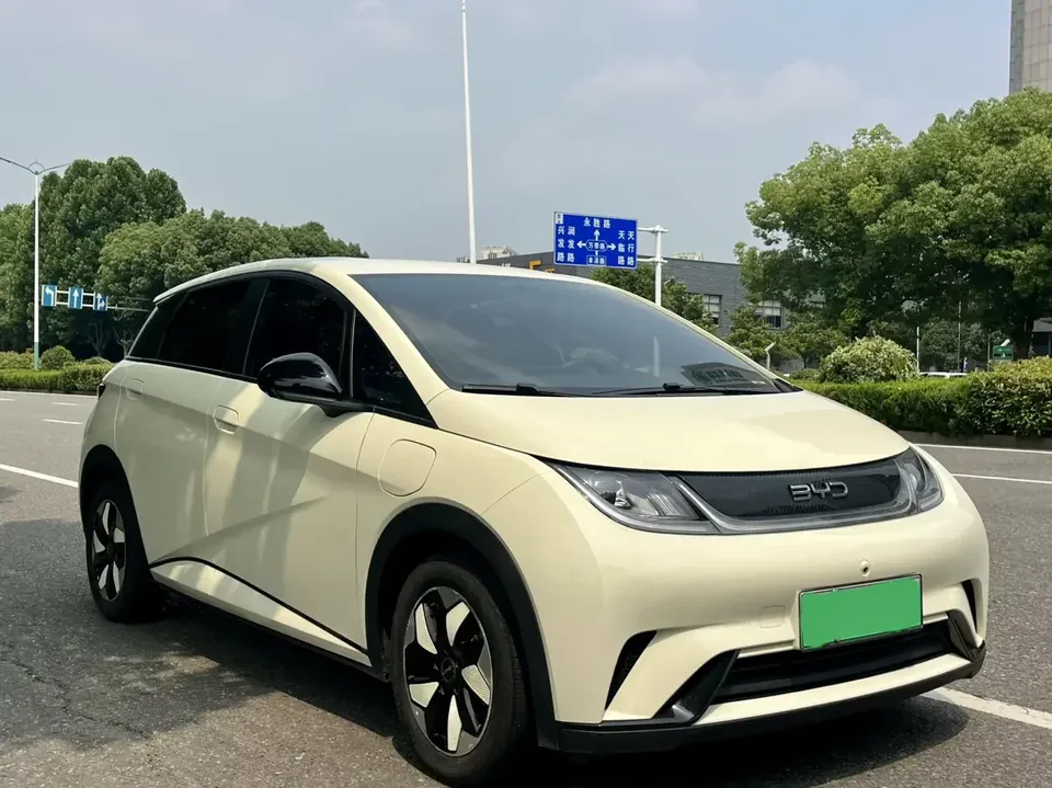 BYD Dolphin dolphin 2024 Glory Edition 420km Freedom Edition 2024 — thumbnail 3