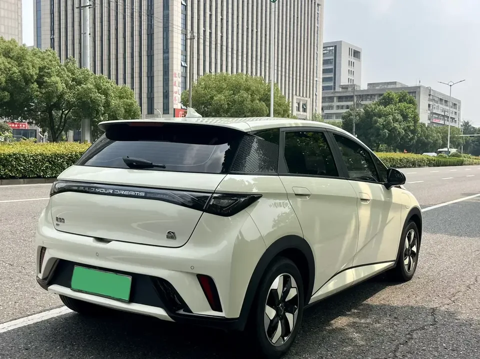 BYD Dolphin dolphin 2024 Glory Edition 420km Freedom Edition 2024 — thumbnail 4