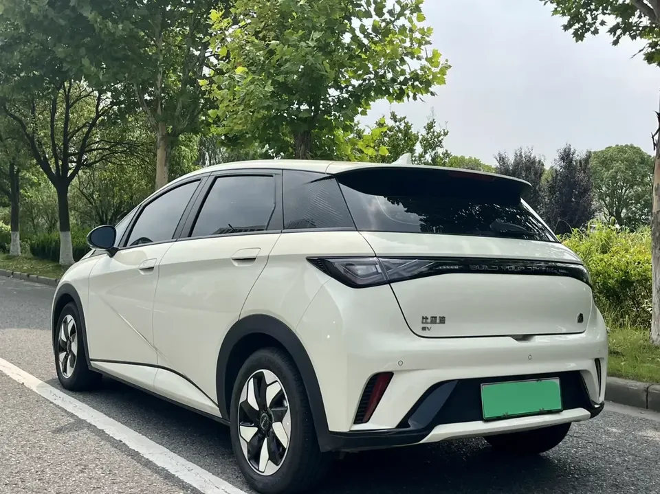BYD Dolphin dolphin 2024 Glory Edition 420km Freedom Edition 2024 — thumbnail 5