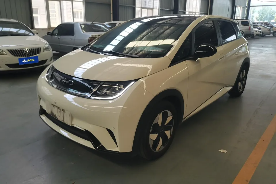 BYD Dolphin dolphin 2025 420KM Fashion Edition 2024 — photo 1, buy with delivery to Moscow