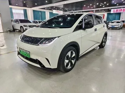 BYD Dolphin dolphin 2025 420KM Free Edition 2025 — photo 1, buy with delivery to Moscow