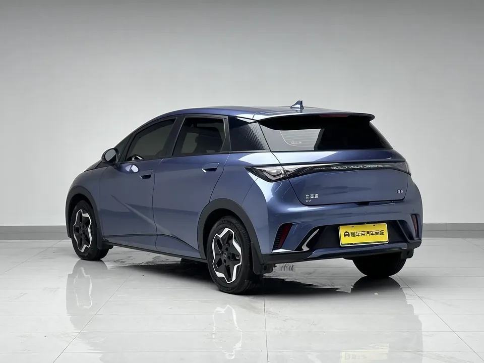 BYD Dolphin dolphin 2025 420KM Vitality Edition 2025 — thumbnail 2