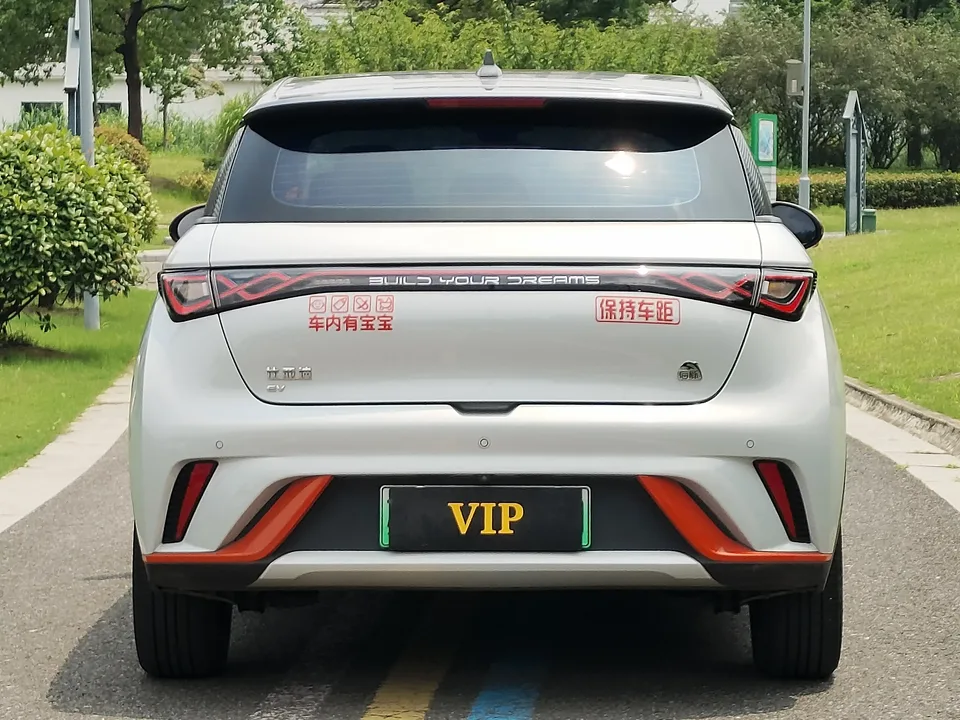 BYD Dolphin dolphin 2021 Free version 2022 — thumbnail 2