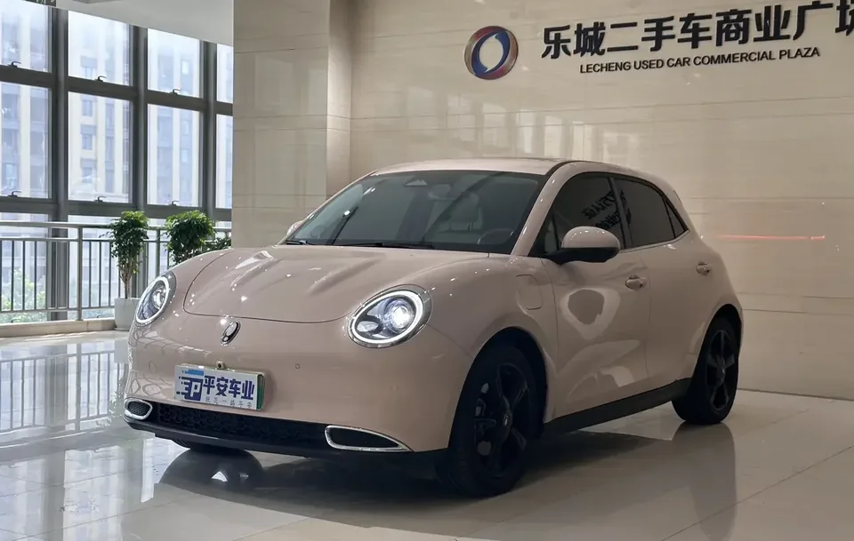 ORA Euler good cat Euler good cat 2024 401km Premium 2024 — photo 1, buy with delivery to Moscow