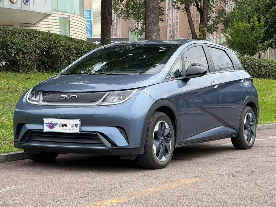 BYD Dolphin dolphin 2024 Glory Edition 420km Freedom Edition 2025 — photo 1, buy with delivery to Moscow