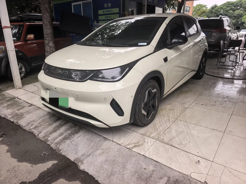 BYD Dolphin dolphin 2025 Smart Driving Edition 420KM Free Edition 2025 — photo 1, buy with delivery to Moscow