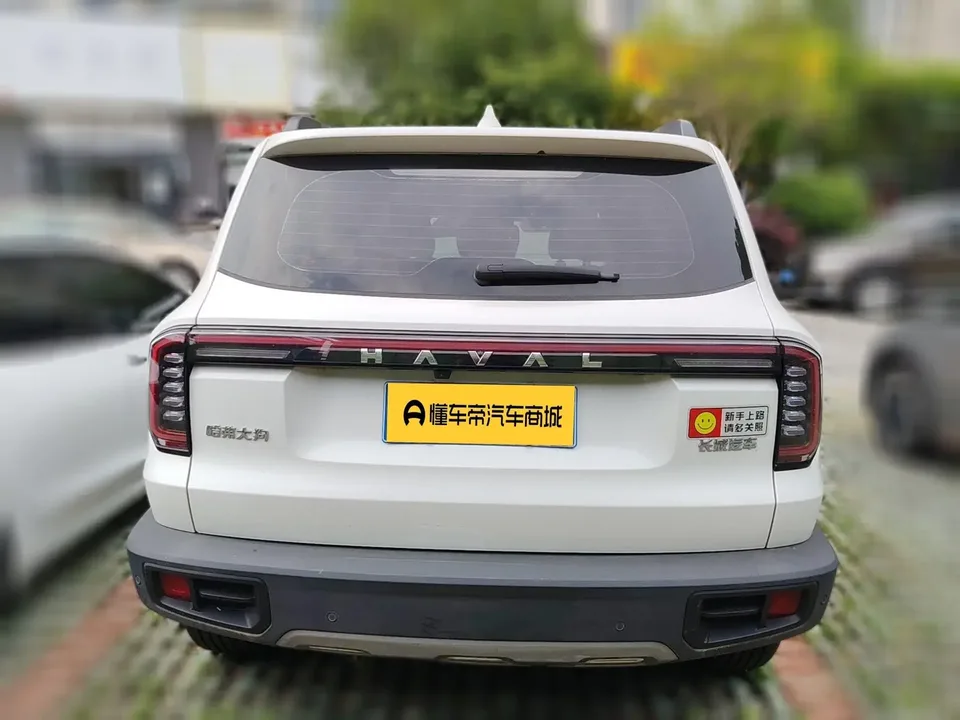 Haval Dargo Harvard dog 2024 1.5T 2WD Border Collie Edition 2024 — thumbnail 2