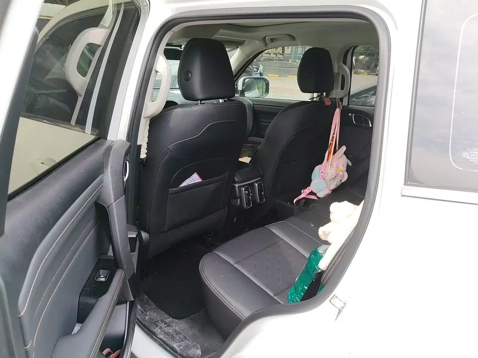 Haval Dargo Harvard dog 2024 1.5T 2WD Border Collie Edition 2024 — thumbnail 3