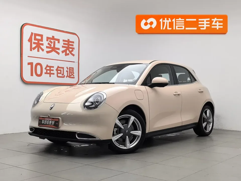 ORA Euler good cat Euler good cat 2023 401km standard endurance luxury lithium iron phosphate 2023 — photo 1, buy with delivery to Moscow