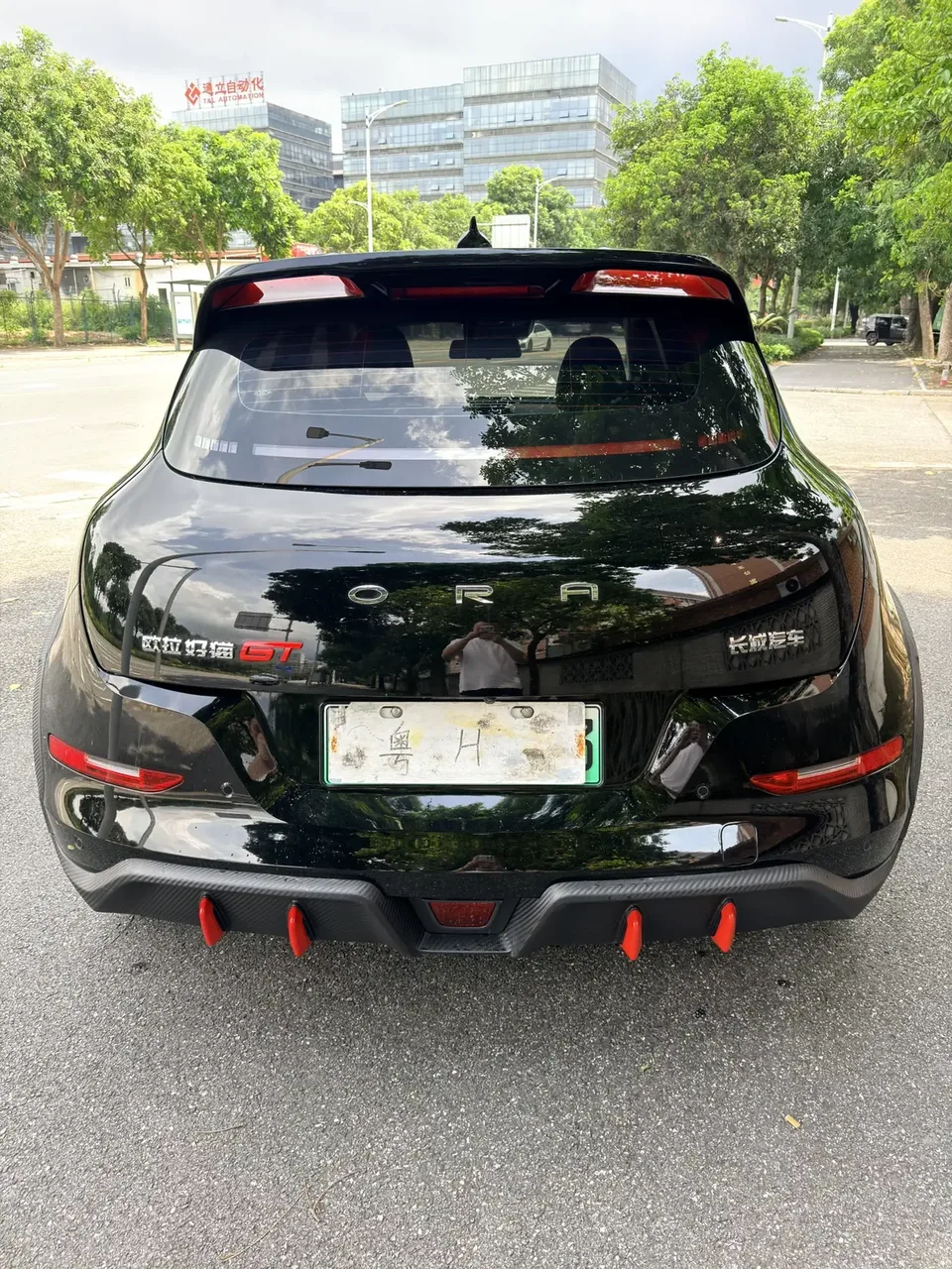 ORA Euler Good Cat GT Euler Good Cat GT 2023 Mulan Edition 401km Luxury 2023 — photo 1, buy with delivery to Moscow