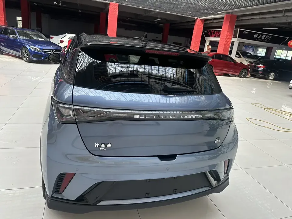 BYD Dolphin dolphin 2023 Knight Edition 2023 — thumbnail 2