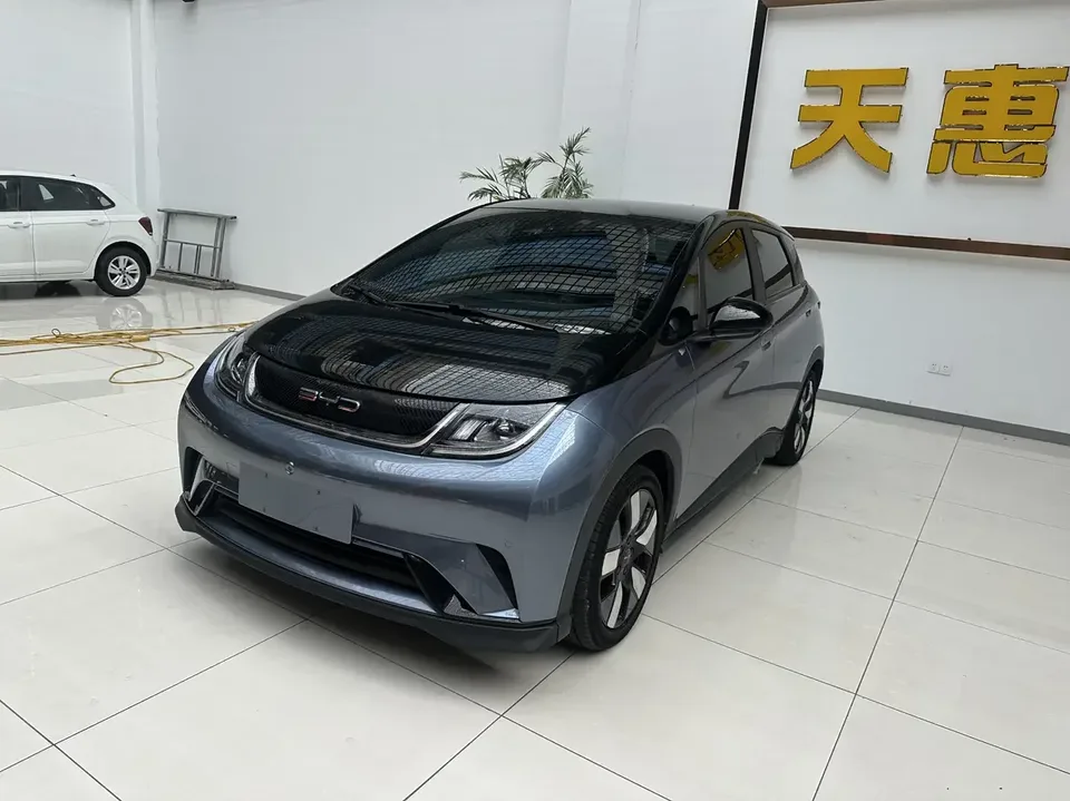 BYD Dolphin dolphin 2023 Knight Edition 2023 — photo 1, buy with delivery to Moscow