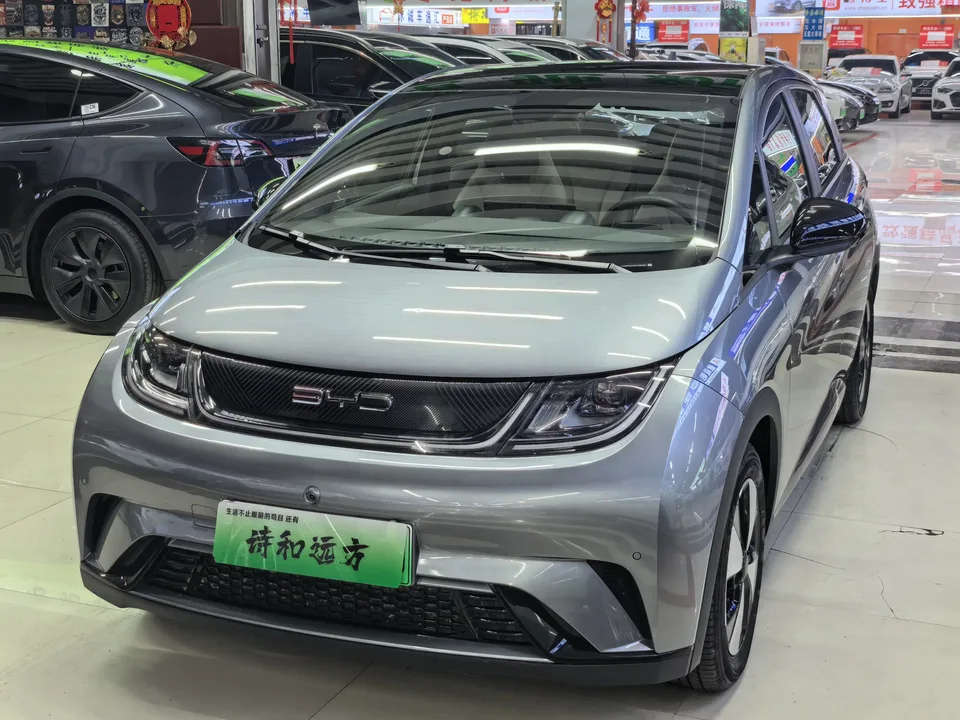 BYD Dolphin dolphin 2023 Free version 2023 — photo 1, buy with delivery to Moscow