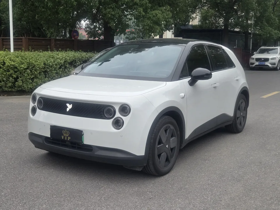 Firefly firefly firefly 2025 Luminous version 2025 — photo 1, buy with delivery to Moscow
