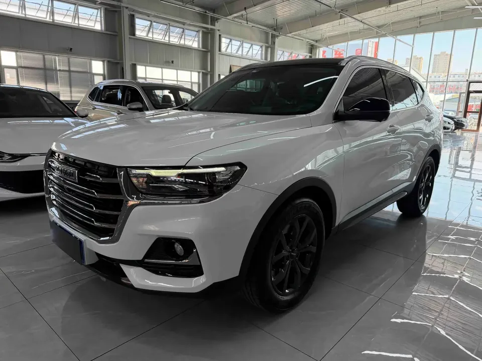 Haval H6 Haval H6 2021 National Trend Edition 1.5T Automatic City Edition 2023 — photo 1, buy with delivery to Moscow