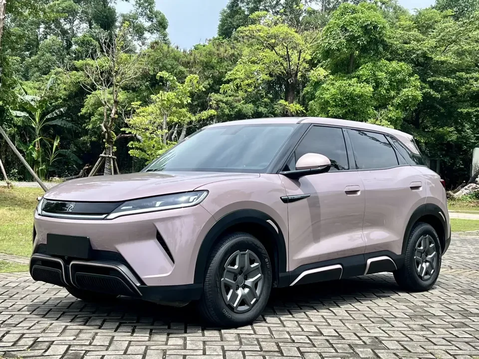 BYD Yuan Up Yuan UP 2025 Smart Driving Edition 401KM Vitality Edition 2024 — photo 1, buy with delivery to Moscow
