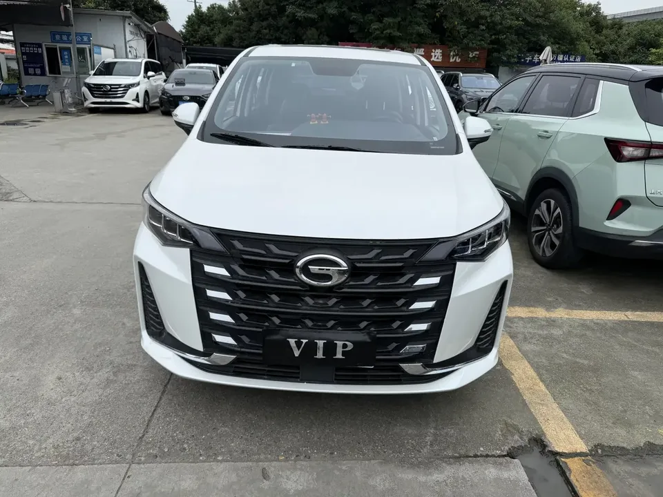 GAC Trumpchi M6 Trumpchi M6 2023 PRO 270T WDCT Deluxe Edition 2024 — фото 1, купить с доставкой в Москву