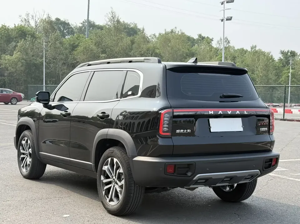 Haval Dargo Harvard dog 2024 1.5T 2WD Border Collie Edition 2025 — thumbnail 2