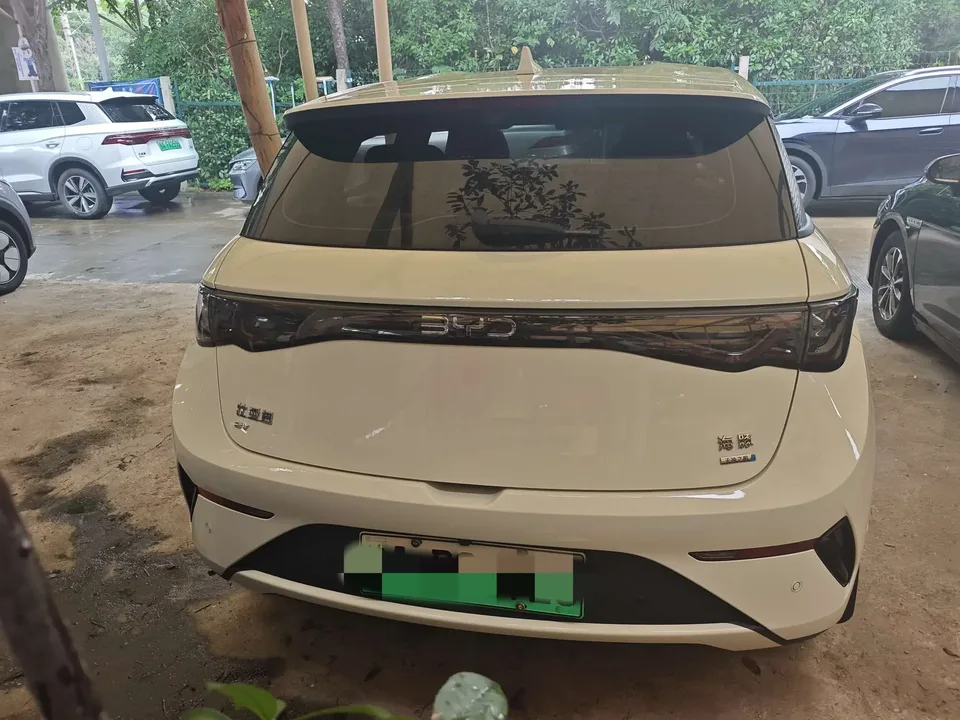 BYD Dolphin dolphin 2025 Smart Driving Edition 420KM Free Edition 2025 — миниатюра 2