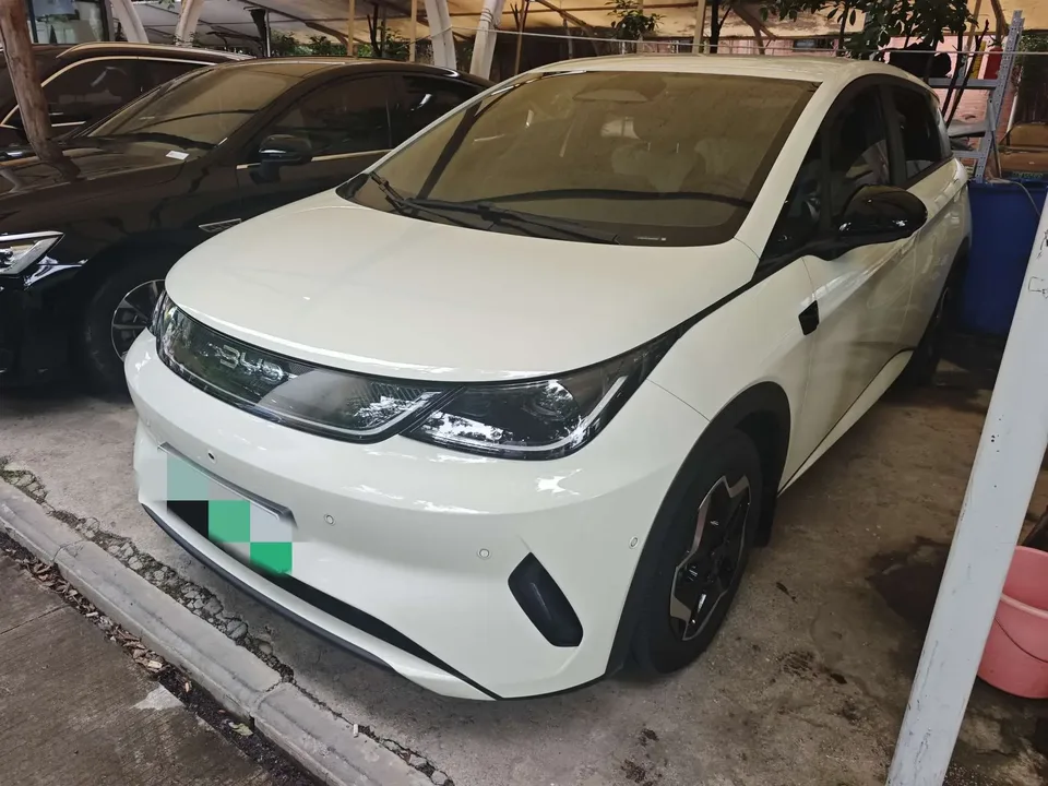 BYD Dolphin dolphin 2025 Smart Driving Edition 420KM Free Edition 2025 — фото 1, купить с доставкой в Москву