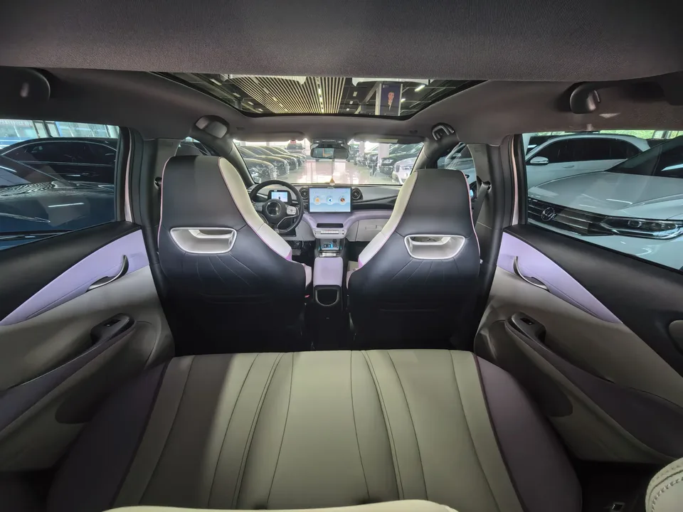 BYD Dolphin dolphin 2021 Knight Edition 2022 — миниатюра 2