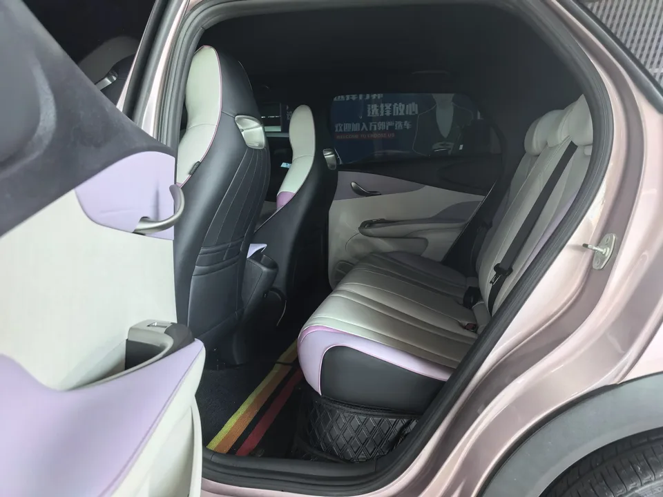 BYD Dolphin dolphin 2021 Knight Edition 2022 — миниатюра 3