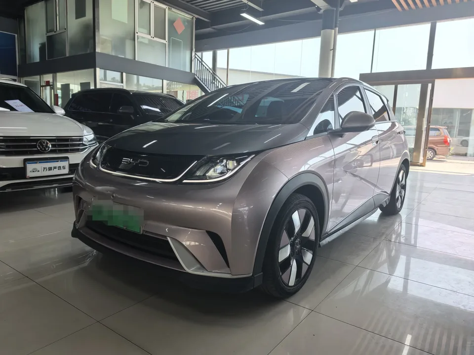 BYD Dolphin dolphin 2021 Knight Edition 2022 — фото 1, купить с доставкой в Москву