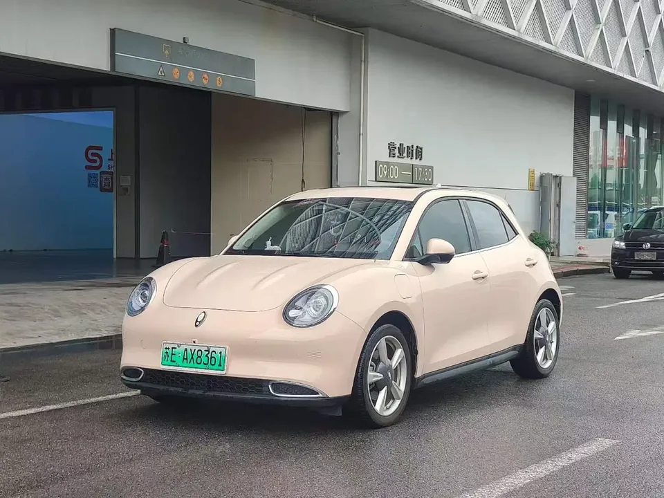 ORA Euler good cat Euler good cat 2024 401km Premium 2024 — photo 1, buy with delivery to Moscow