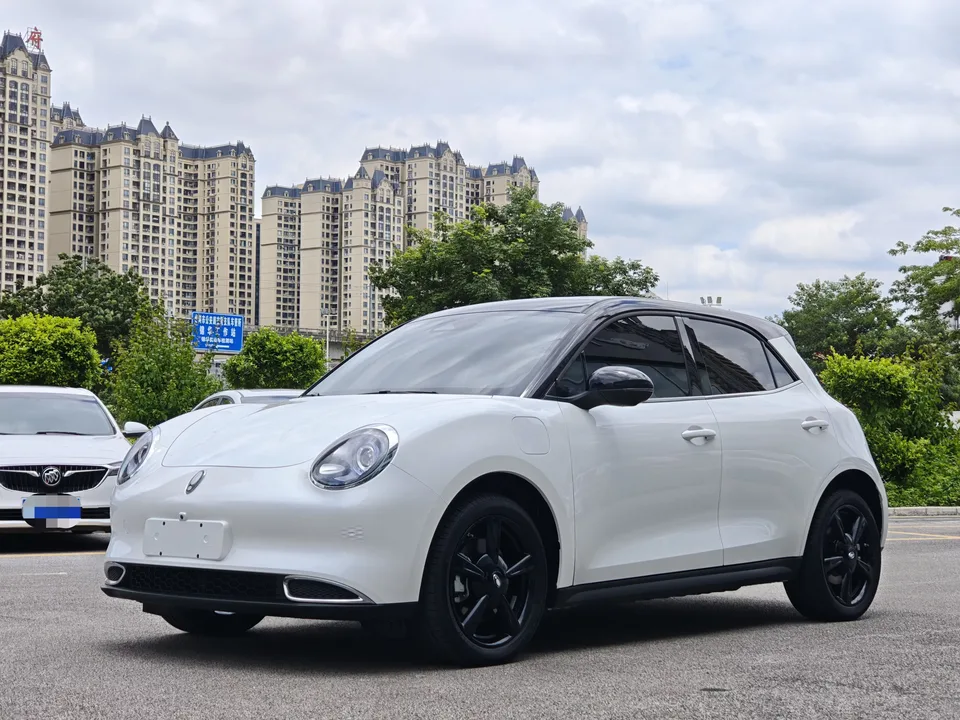 ORA Euler good cat Euler good cat 2024 401km Comfort Type 2025 — photo 1, buy with delivery to Moscow