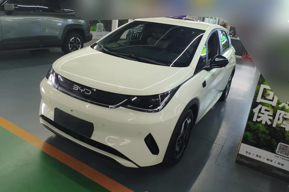 BYD Dolphin dolphin 2025 Smart Driving Edition 420KM Free Edition 2025 — photo 1, buy with delivery to Moscow
