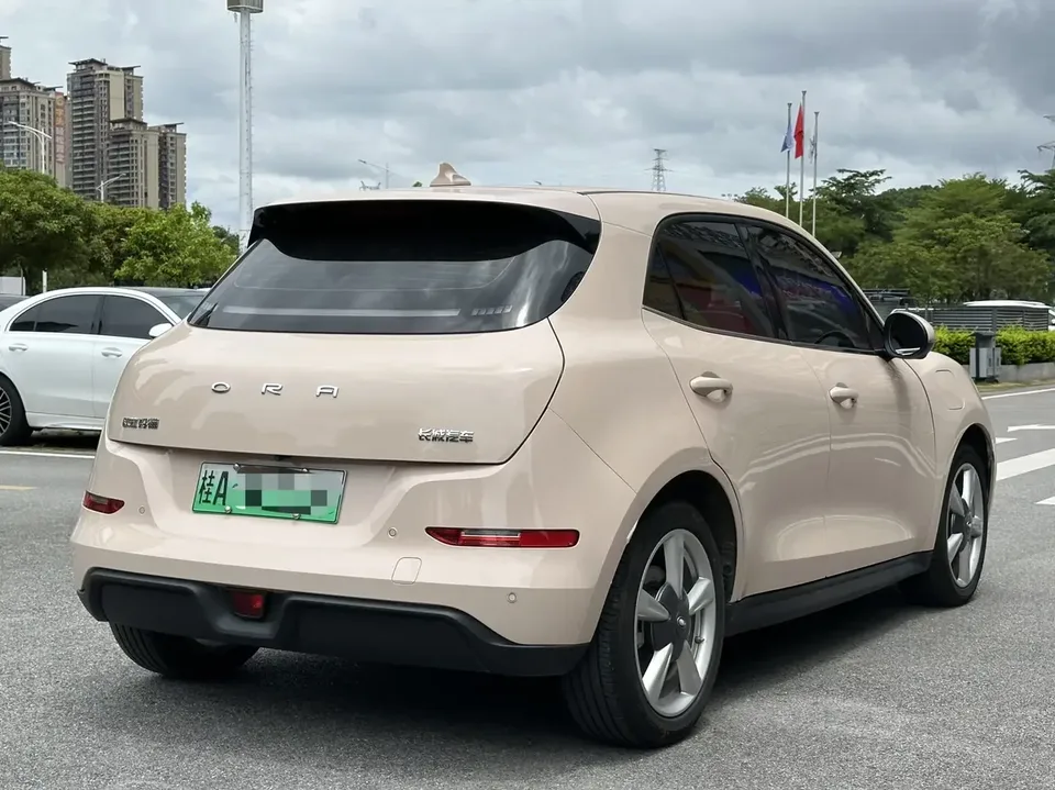 ORA Euler good cat Euler good cat 2023 401km standard endurance luxury lithium iron phosphate 2023 — thumbnail 4