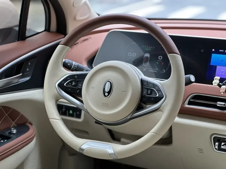ORA Euler good cat Euler good cat 2023 401km standard endurance luxury lithium iron phosphate 2023 — thumbnail 5