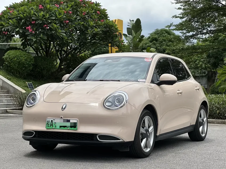 ORA Euler good cat Euler good cat 2023 401km standard endurance luxury lithium iron phosphate 2023 — photo 1, buy with delivery to Moscow