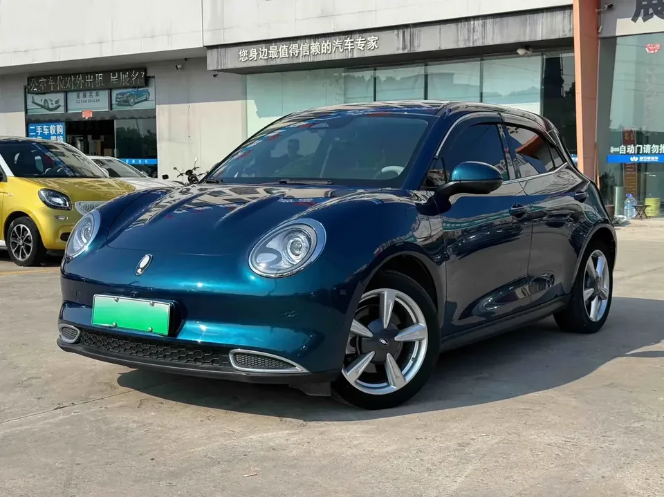 ORA Euler good cat Euler good cat 2024 401km Premium 2024 — photo 1, buy with delivery to Moscow