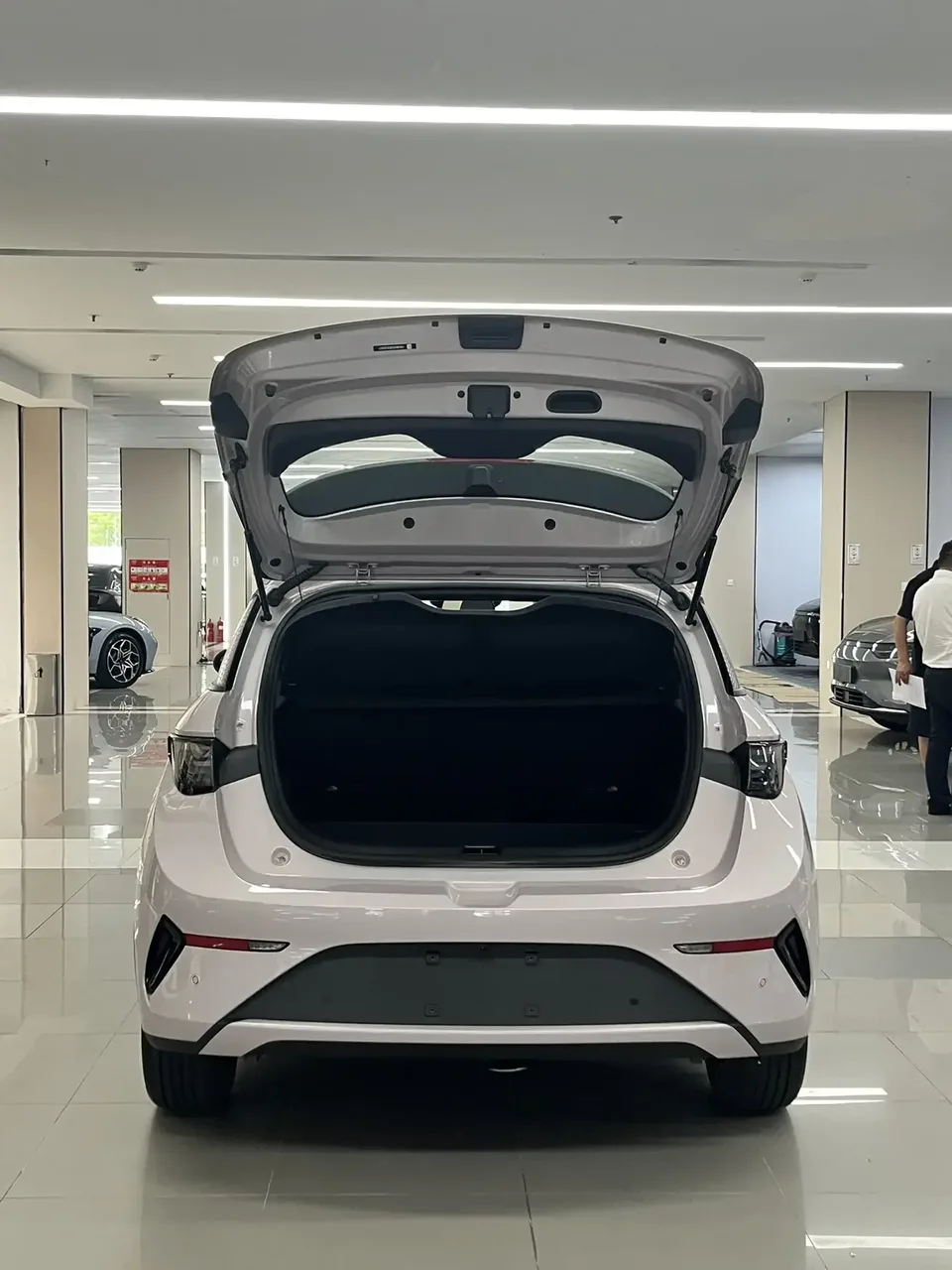 BYD Dolphin dolphin 2025 Smart Driving Edition 410KM Fashion Edition 2025 — thumbnail 5