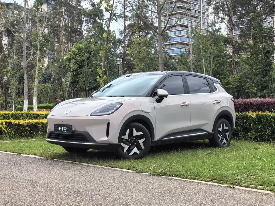 Wuling Bingo S Bingo S 2025 430km Flagship Model 2025 — photo 1, buy with delivery to Moscow