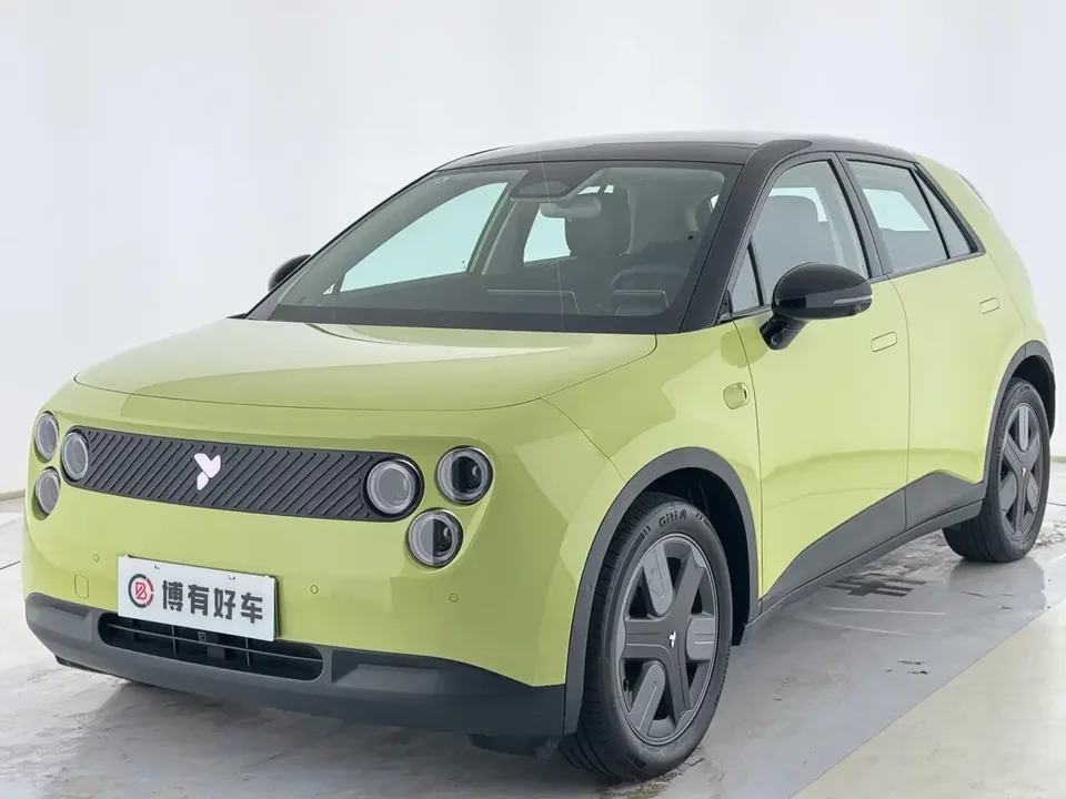 Firefly firefly firefly 2025 Luminous version 2025 — photo 1, buy with delivery to Moscow