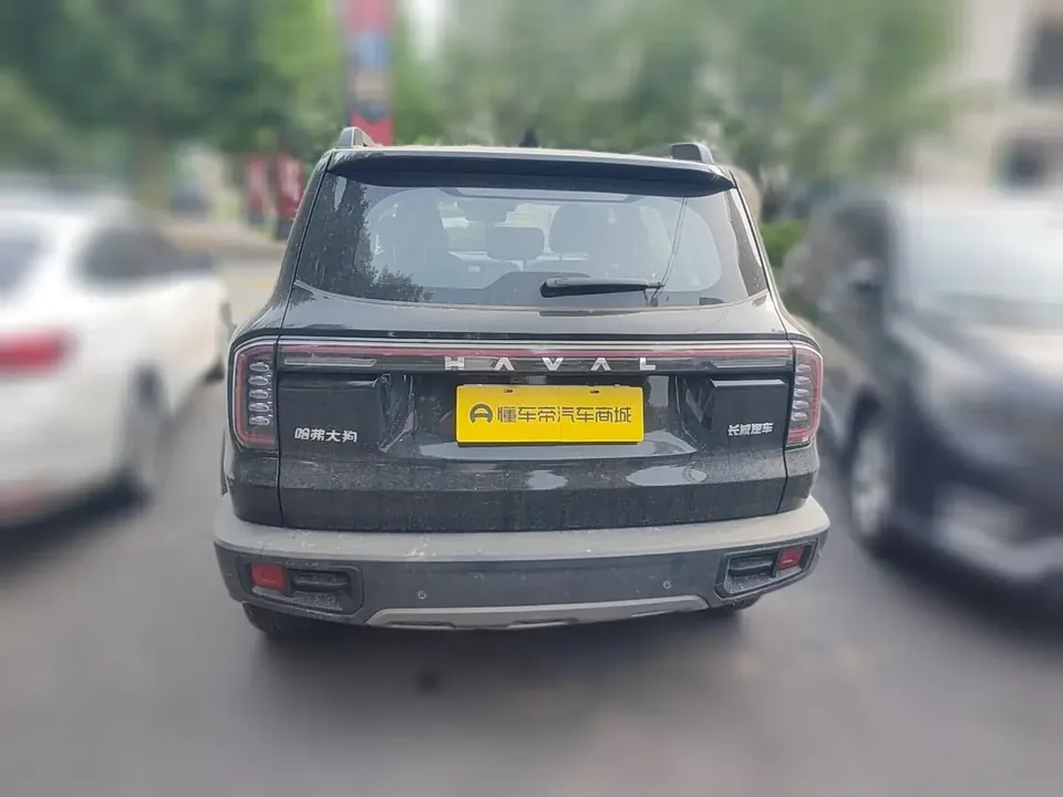 Haval Dargo Harvard dog 2024 1.5T 2WD Border Collie Edition 2024 — thumbnail 2