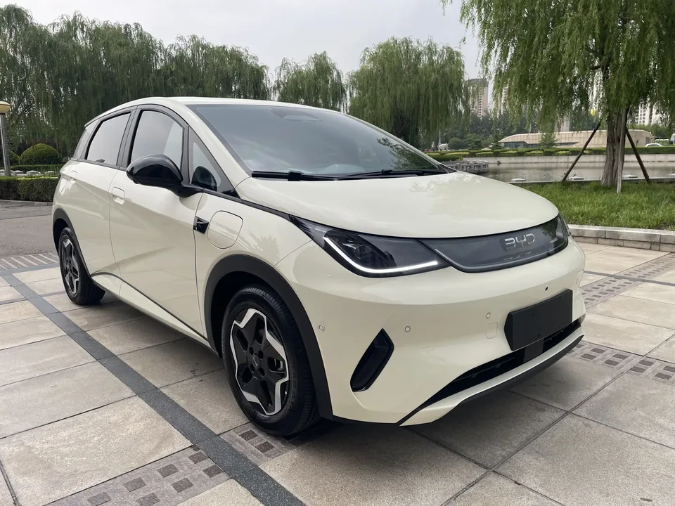 BYD Dolphin dolphin 2025 420KM Free Edition 2026 — thumbnail 3