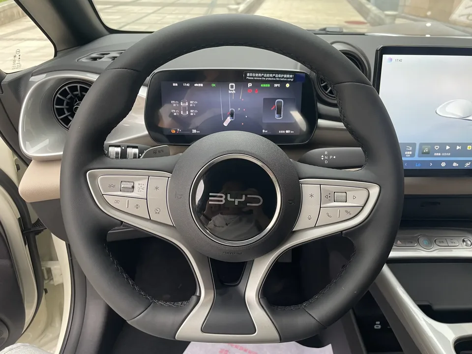 BYD Dolphin dolphin 2025 420KM Free Edition 2026 — thumbnail 5