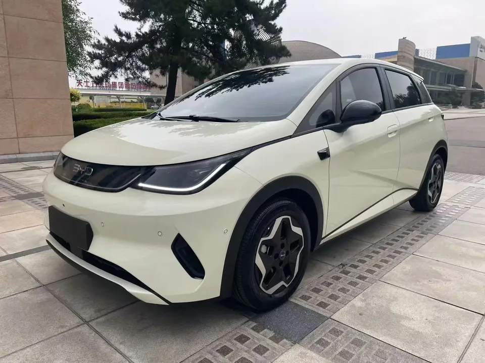 BYD Dolphin dolphin 2025 420KM Free Edition 2026 — photo 1, buy with delivery to Moscow