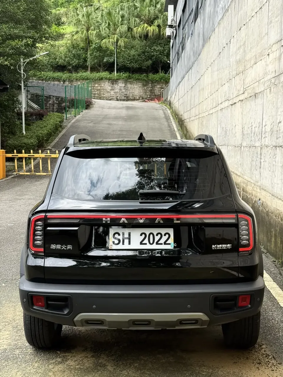 Haval Dargo Harvard dog 2024 1.5T 2WD Border Collie Edition 2024 — thumbnail 2